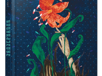 Задзеркалля