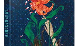 Задзеркалля